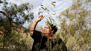 Deanne Wano gathers Arrethe leaves east of Alice Springs. 