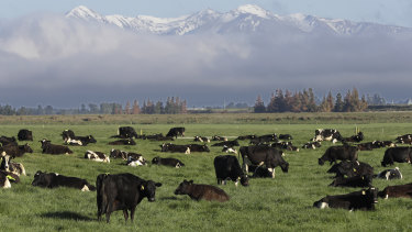 Whether NZ stands for New Zealand and Net Zero emissions will hinge largely on what happens in its agriculture sector.