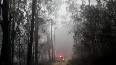 The logging industry wants support to "salvage" timber from the bushfire zones.