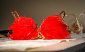 Bernice Kopple’s feather and lurex show bra. 