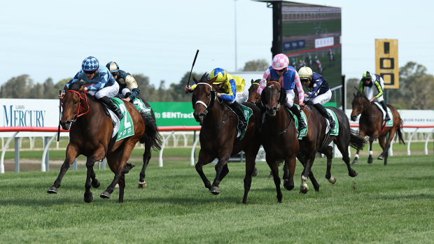 Estadio Mestalla wins at Kembla Grange on Saturday.
