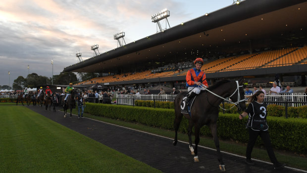 Vibrant: Canterbury's night racing has been compared to the halcyon days of Harold Park.