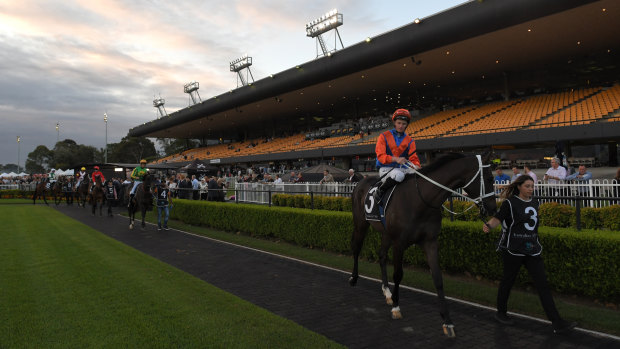 Vibrant: Canterbury's night racing season continues to go from strength to strength.