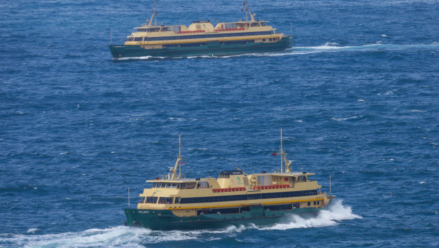 The Freshwater class ferries are described as 'iconic'.