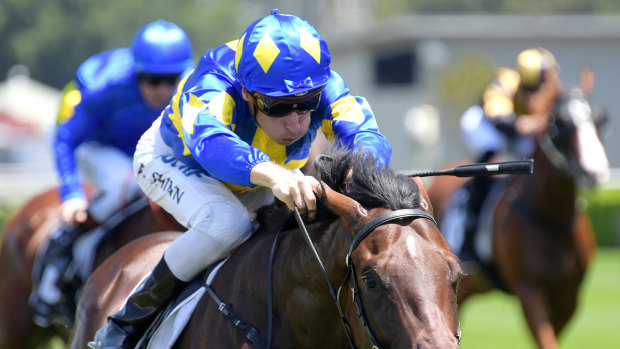 Nine races will fill the card at Randwick on Saturday.