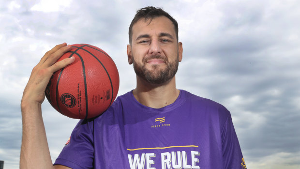 Bogut at the launch of the NBL Finals series on Monday.