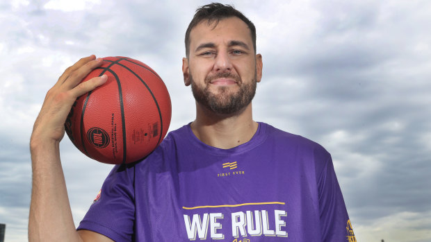 Poster boy: Andrew Bogut has been at the centre of the NBL's success this season. 