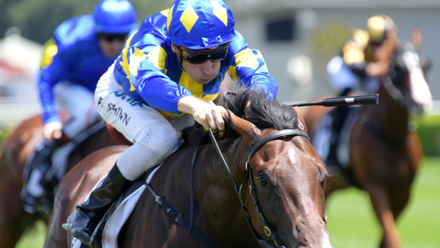 Dawn Passage storms to a debut win at Randwick in February.
