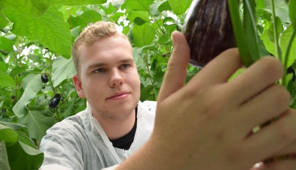 Nicholas Eglin is studying for a  Bachelor of Sustainable Agriculture at Western Sydney University.