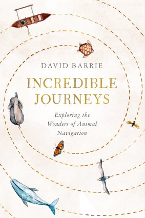  Extraordinary tales of the navigational abilities of the animal world.