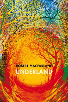 Underland by Robert MacFarlane.