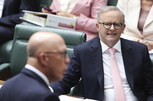 Opposition Leader Peter Dutton and Prime Minister Anthony Albanese during Question Time in February.
