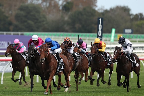 Sequista (second from the left) finishing fourth to Tempted in the Percy Sykes Stakes.