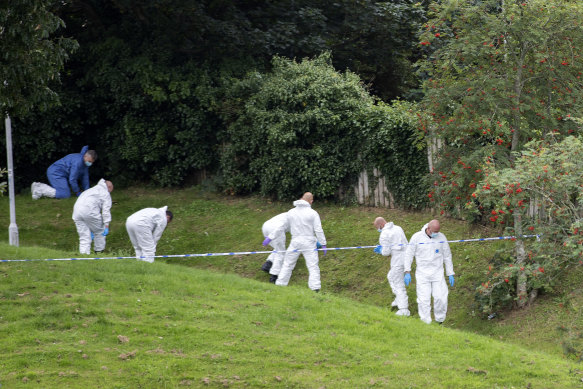 Forensic teams search a grassed area near one of the shooting scenes.