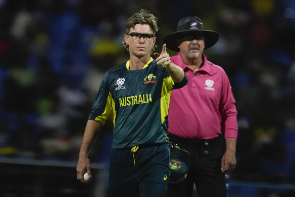 Adam Zampa during the T20 World Cup.