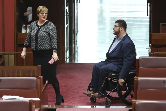 Minister for the NDIS Linda Reynolds and Greens senator Jordon Steele-John during a debate in Parliament.