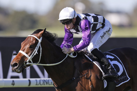 Osipenko takes out the opening race at Rosehill.