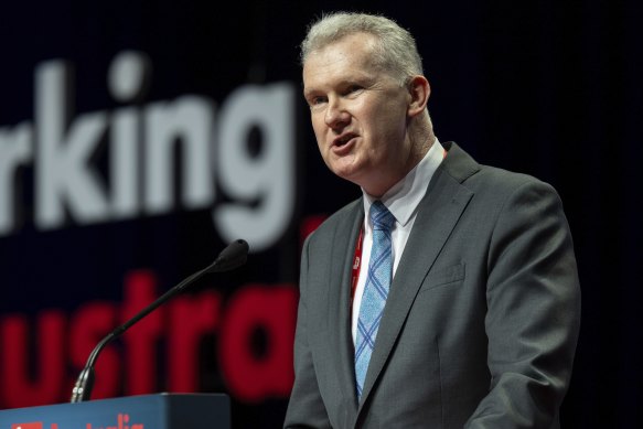 Employment and Workplace Relations Minister Tony Burke. 