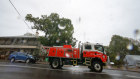 Rain falls in the fire-ravaged Kangaroo Valley. 