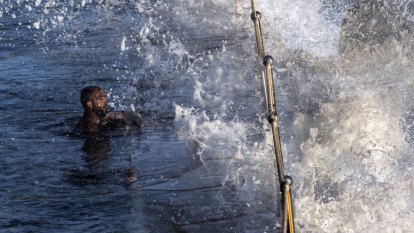 Ocean temperatures set heat records, raising fresh concerns for marine life