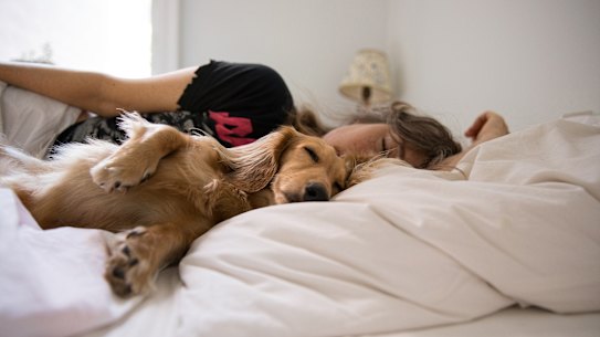 No matter how large the bed, a sleeping pet will – without appearing to move a muscle – claim more and more of its surface as the night passes