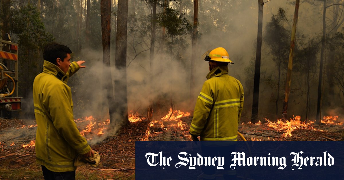 State government agencies at war over logging forests ruined by fire - Vimarsana News