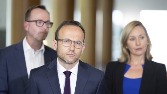 Greens leader Adam Bandt has refused to say whether he is investigating accusations of verbal abuse by one of his Mps.