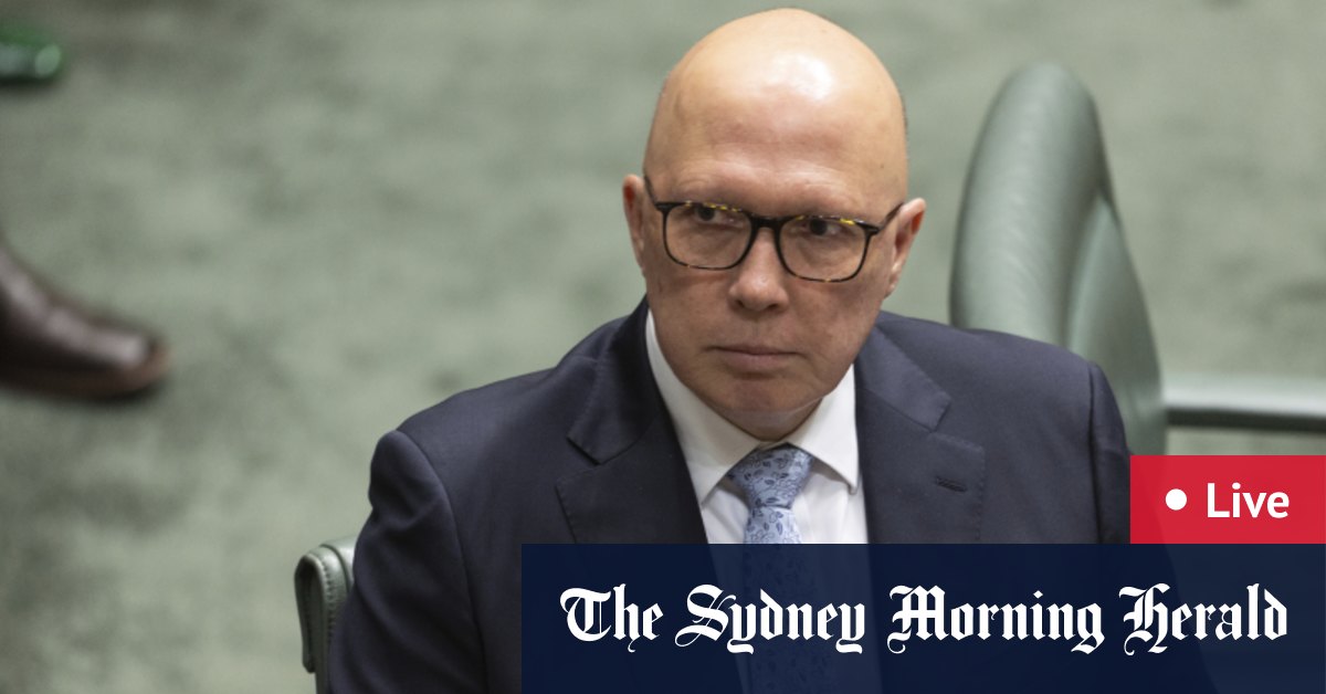 Government accuse Dutton of misleading Australians | 7NEWS