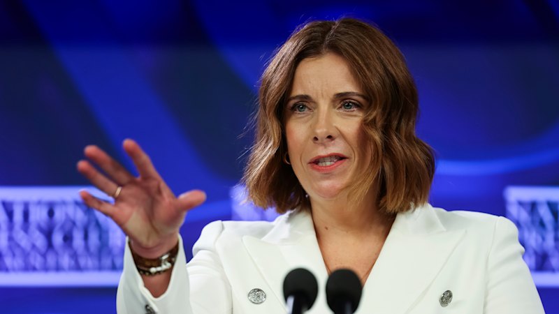 Anika Wells charged taxpayers to take family to Thredbo ski resort