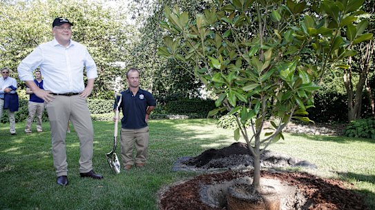 Prime Minister Scott Morrison is planting the seeds for a scare campaign against his opponent Anthony Albanese.