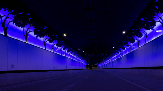 Lighting displays featuring native birds and trees are dispersed throughout the tunnel.