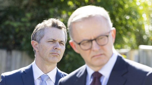 Focus on fairness is an education, but Albanese’s ambition has yet to be tested