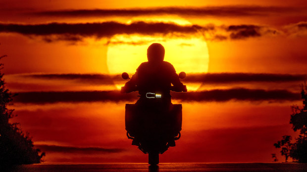 World of photos, August 12, 2024