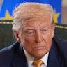 European Commission president Ursula von der Leyen and US President Donald Trump shake hands on a new deal.  