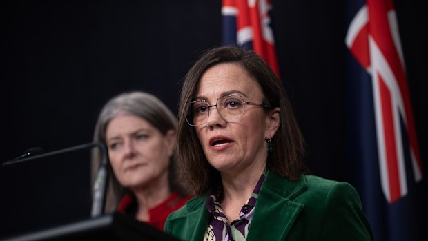 Minister for disability and Children Lizzie Blandthorn.