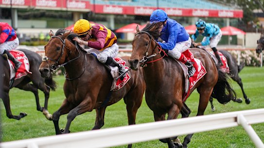 State Of Rest (IRE) ridden by John Allen wins the Ladbrokes Cox Plate at Moonee Valley Racecourse on October 23, 2021 in Moonee Ponds, Australia. (Scott Barbour/Racing Photos via Getty Images)