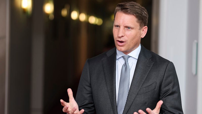Why the Liberal Party is failing to gain ground despite One Nation’s recent slide