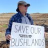 Qld environment minister powerless to object to land clearing in priority zones