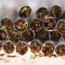 States join fight against blackmarket cigarettes as border seizures jump 86%