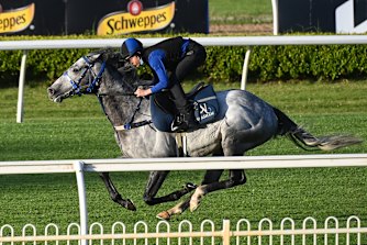 Annabel Neasham’s Top Rank will target the Classique Legend Stakes or be saved for The Gong-Villiers double.