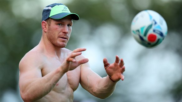 Horses for courses: Remaining flexible in the use of David Pocock is the sensible approach.