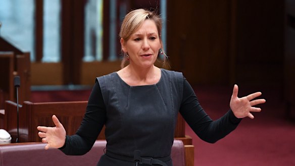Senator Larissa Waters cited evidence given earlier during the inquiry which suggested domestic violence orders do not affect court proceedings.