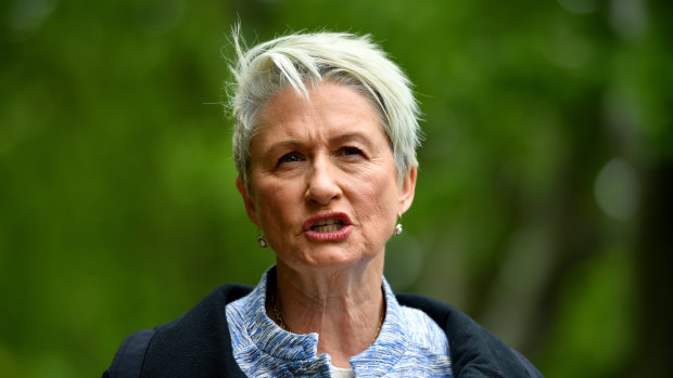 Pressing on: Kerryn Phelps will not let the email scandal compromise the remainder of her campaign.