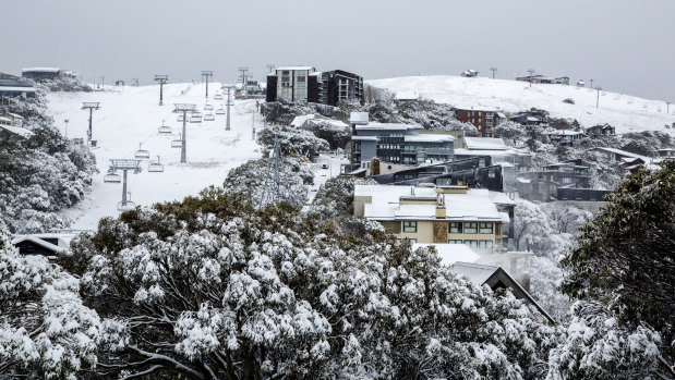 Snow blankets Mt Buller on Thursday after a cold snap hit Victoria.   