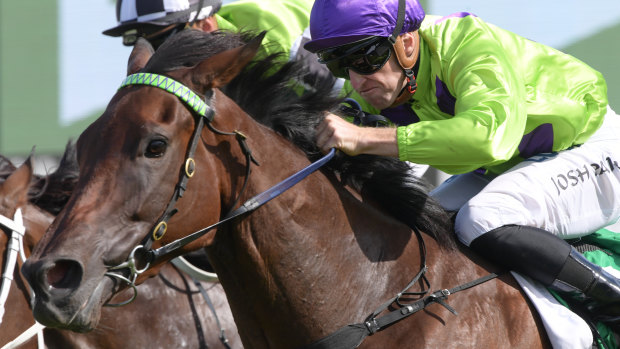 Roaring home: Nakeeta Jane comes with a barnstorming run to win the Light Fingers Stakes.