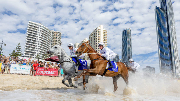 Horses gallop down Surfers Paradise during the Magic Millions promotion.