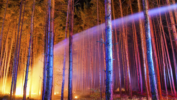 Firefighters battle a wildfire near the village Klausdorf, about 85 kilometres south of Berlin