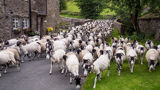 Any damage to primary producers would damage rural Britain and affect tourism, Labour's trade spokesman claims.