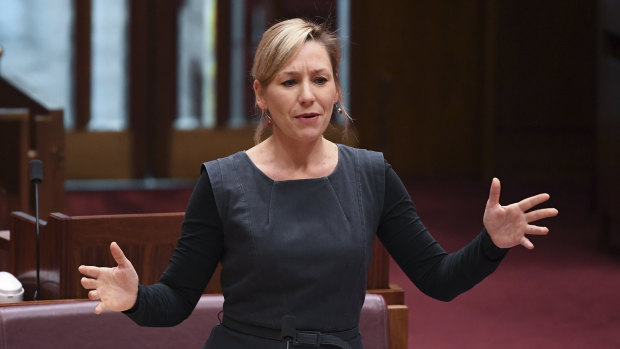 Senator Larissa Waters cited evidence given earlier during the inquiry which suggested domestic violence orders do not affect court proceedings.