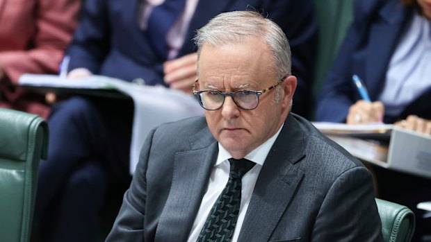 Anthony Albanese’s minister are split over how to respond to AI investment.
